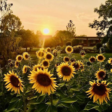 Quirindi Sunflower Motor Inn Екстер'єр фото