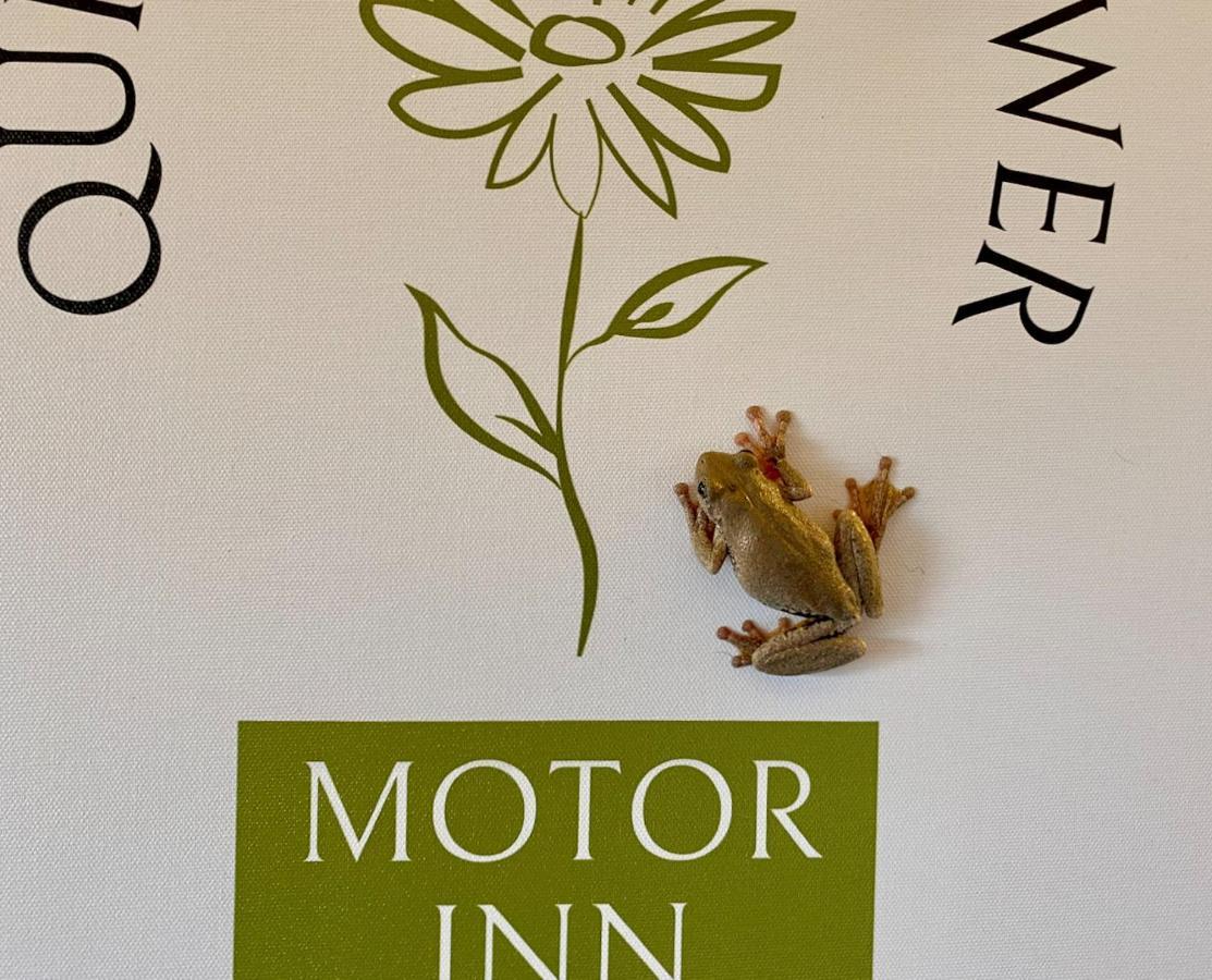 Quirindi Sunflower Motor Inn Екстер'єр фото